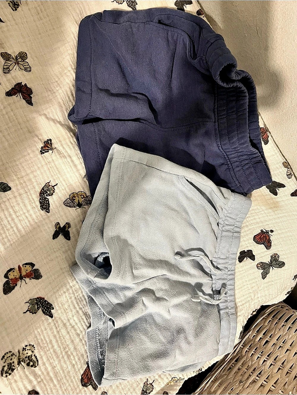 Cat & Jack and Garanimals Kids Shorts 2T navy & light blue 2-Piece Set